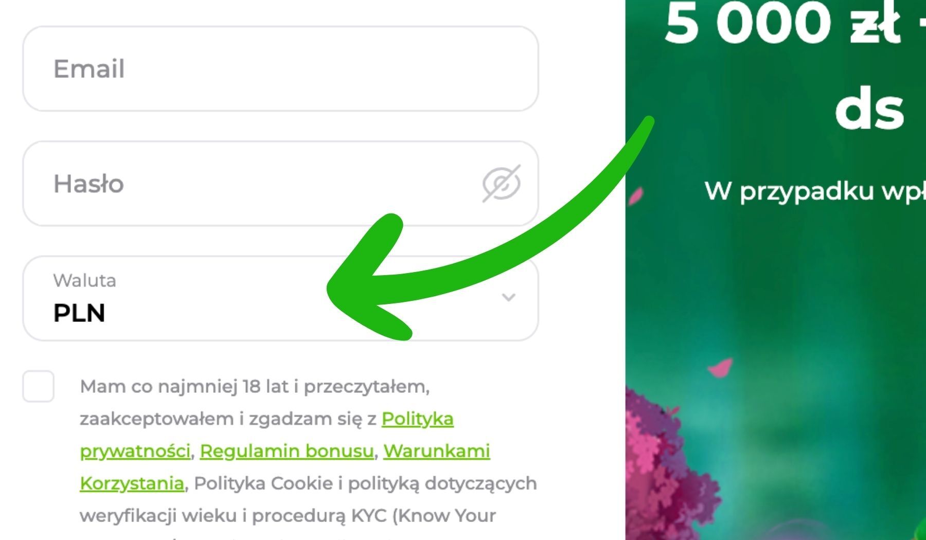 Verde Online Casino w Polsce Wybierz polski złoty